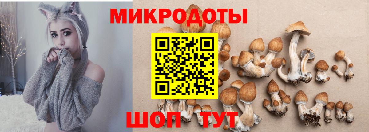 Псилоцибиновые грибы ЛСД  Вход с VPN  Корсаков 